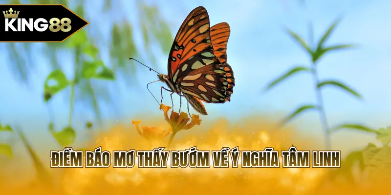 Điềm báo mơ thấy bướm về ý nghĩa tâm linh